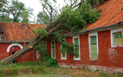 Weathering the Storm: Storm Damage Cleanup in Saunders County, NE