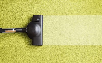 Professional Carpet Cleaning in Mesa, AZ, Will Revitalize Your Home