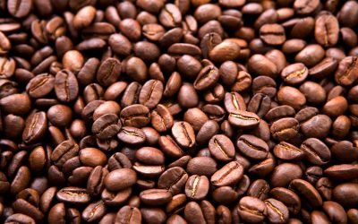 Discovering Good Coffee Beans: Your Guide to a Rich Experience