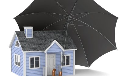 Public Adjuster Firm in Tampa, FL: Your Ally in Navigating Insurance Claims