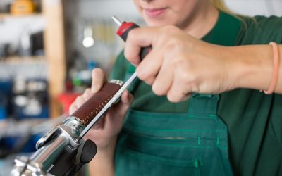 Exploring the Bike Shop in Salem, MA, Landscape