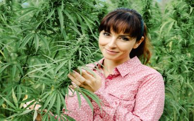 The Rise of Cannabis PR Agency in Boston, MA: A New Era of Marketing and Communication