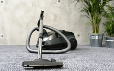 Revolutionizing Home Hygiene: The Rise of Carpet Cleaning Company in Auberry, CA