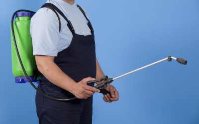 Pest Control Services in Somerset County, NJ: Maintaining Pest-Free Homes