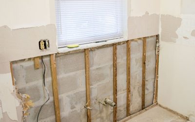 Combating Mold Infestations: Expert Mold Damage Remediation in Council Bluffs, IA