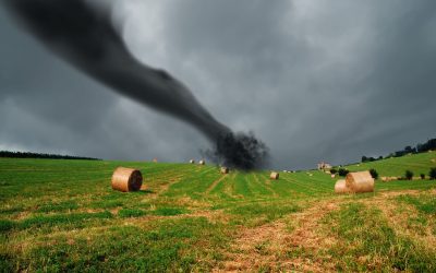 Fire Damage Clean-up in Council Bluffs, IA: Embracing Recovery