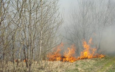 Fire Damage Restoration in Saunders County, NE: Critical Services for Recovery and Resilience