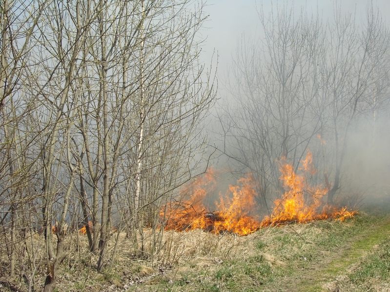 Fire Damage Restoration in Saunders County, NE: Critical Services for Recovery and Resilience