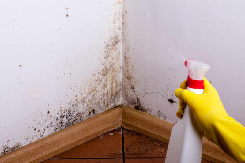 A Guide for Keeping Your Home Safe with Effective Mold Remediation in Council Bluffs, IA.