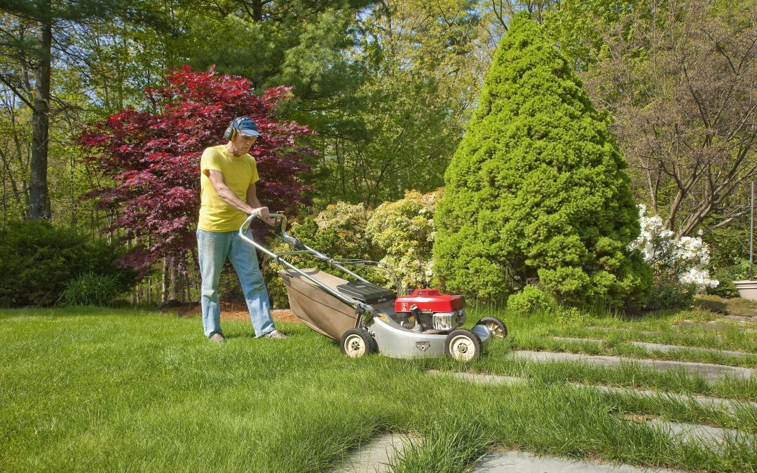 Lush Lawns, Year-Round: Residential Turf Installation in Houston