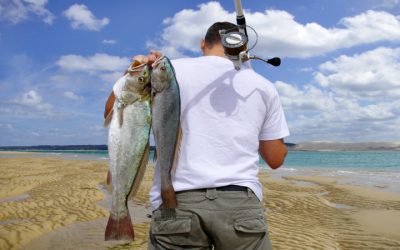 Enjoy a Premier Charter Fishing in Marathon, Experience: Catch the Biggest Game Fish in the Florida Keys