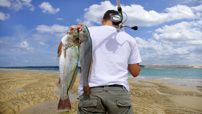 Enjoy a Premier Charter Fishing in Marathon, Experience: Catch the Biggest Game Fish in the Florida Keys