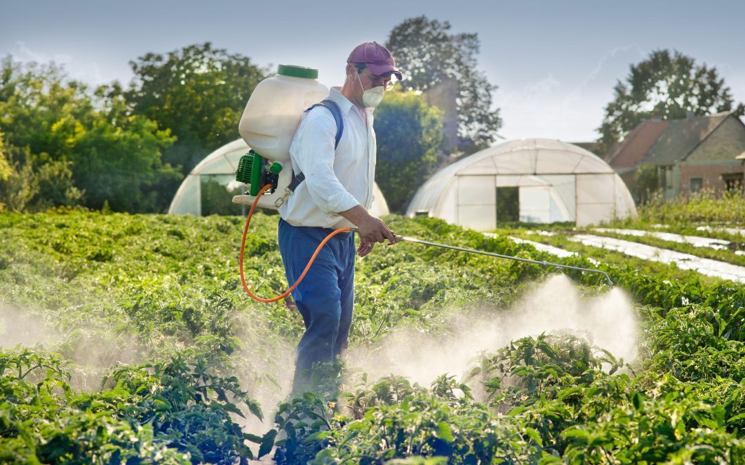 Boost Your Crop Yields with Fungicide Crop Spraying in Heyworth