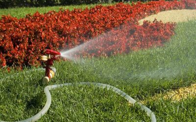 Optimizing Your Lawn’s Health with Effective Sprinkler Maintenance in Austin