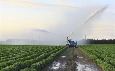 Driving Efficiency and Environmental Responsibility in Agriculture: Herbicide Crop Spraying in Decatur, IL