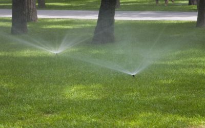 Austin’s Trusted Sprinkler Repair Company for Reliable Yard Solutions
