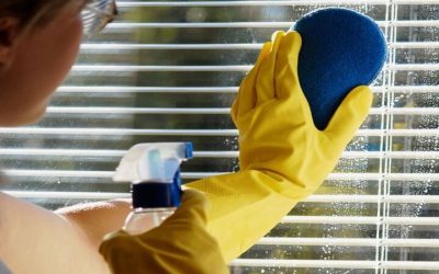 Find Out How Services Cleaning Tampa FL Makes Home Maintenance Simple and Stress Free