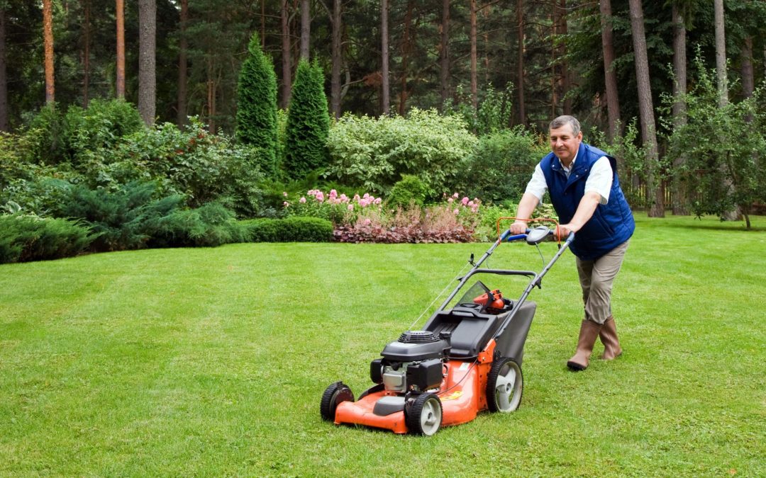 Simple Tips for Achieving Greener Grass Using Lawn Maintenance Services