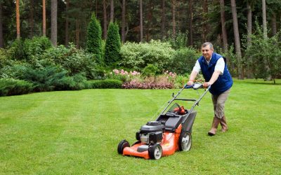 Simple Tips for Achieving Greener Grass Using Lawn Maintenance Services