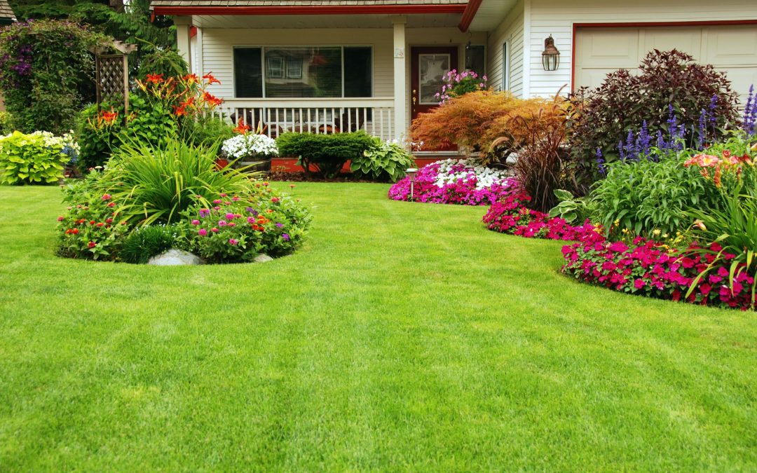 Lawn Care Tips That Make Your Home Stand Out With Lasting Curb Appeal