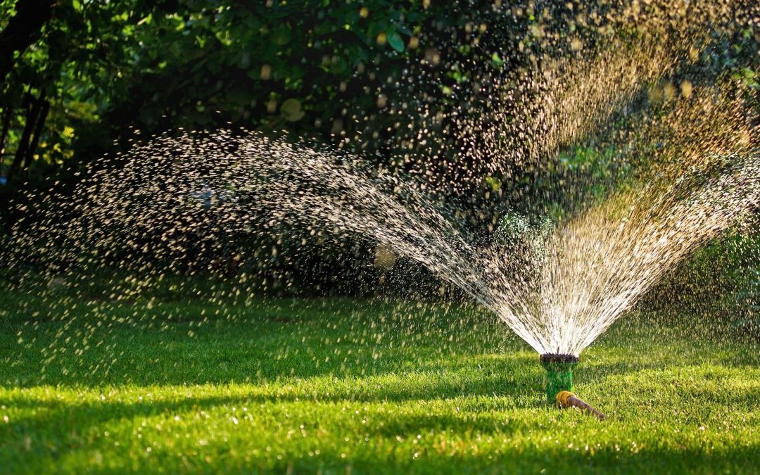 Transform Your Outdoor Space with Professional Lawn Sprinkler Repair Austin