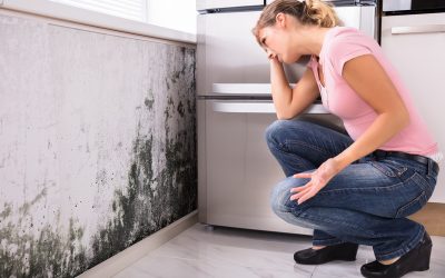 Why Fast Mold Remediation Tampa Response Prevents Extensive Damage to Your Home