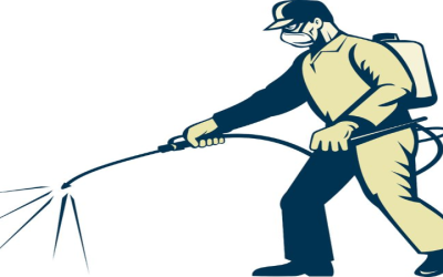 The Benefits of Hiring a Pest Control Company Rochester NY for Lasting Peace of Mind