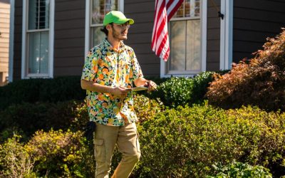 How to Maintain a Beautiful Lawn with Weed Control near Gainesville, VA for Lasting Results