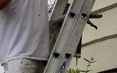 Transform Your Home with Local Painters Near Thornton, CO, Who Prioritize Quality Results