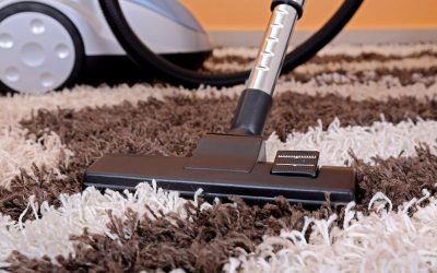 The Benefits of Professional Cleaning Carpet Tampa FL Solutions for Busy Families