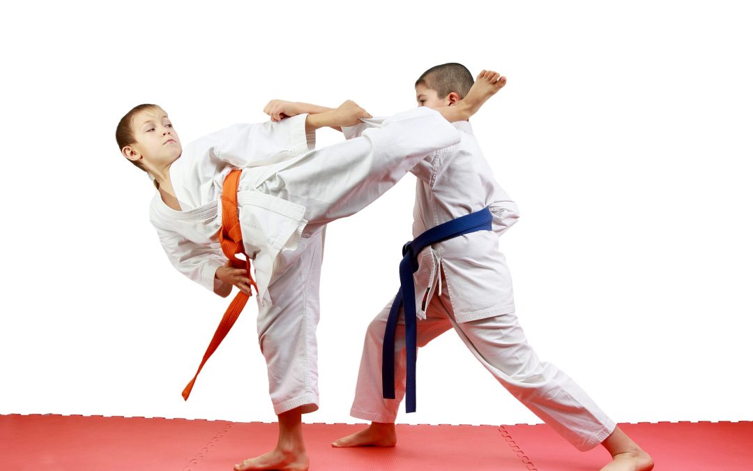 The Role of Martial Arts in Teaching Conflict Resolution to Kids