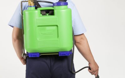 Signs You Need Professional Pest Control Jefferson City TN in Your Home