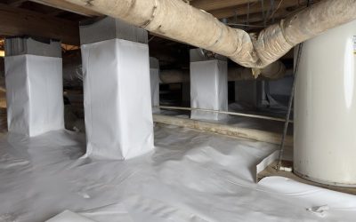 Prevent Serious Health Risks With Mold In My Crawl Space Arkansas Solutions That Work Fast