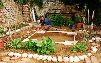 Why Modern Landscape Design In Glendale, AZ Is Perfect For Your Backyard