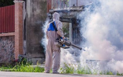 Protect Your Home with Effective Pest Control For Ants Plymouth in County MA Residents Trust