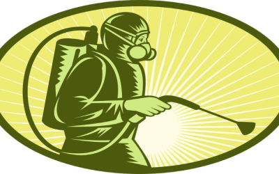 Protect Your Home From Unwanted Pests With Exterminators Near Peachtree City, GA