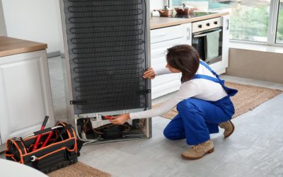Prolong Appliance Lifespan With Sub-Zero Refrigerator Service Bay Harbor Islands FL Experts