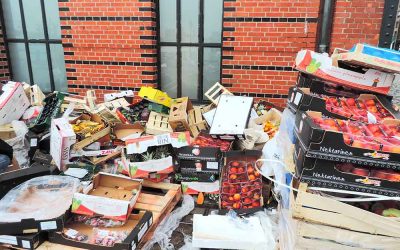 Clearing Space Quickly Using Residential Junk Removal Services in Troy, OH, for Homeowners