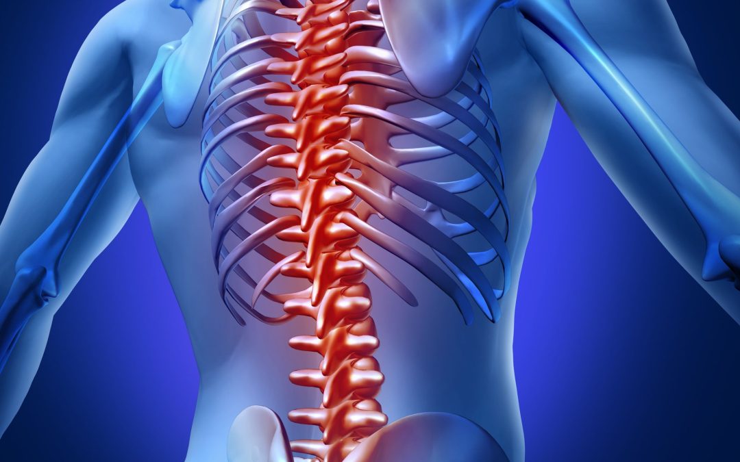 Powerful Solutions Await With Neck Pain Treatment in Springfield, OR Chiropractic Care