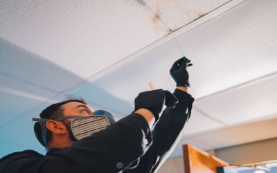 Steps For Effective Recovery Using Water Damage And Mold Inspection Solutions In Louisiana