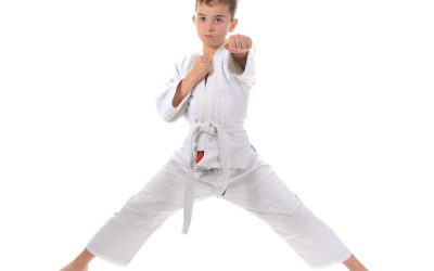 Improve Your Wellness Journey Through Martial Arts Classes in Loveland CO