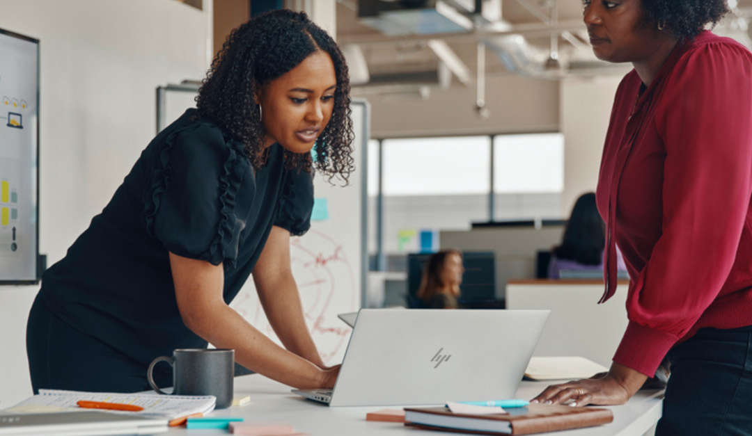 What Should You Look for in HP Business Laptops?